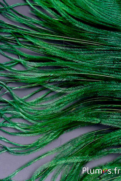 Autruche barbules - 8-15 cm - vert sapin